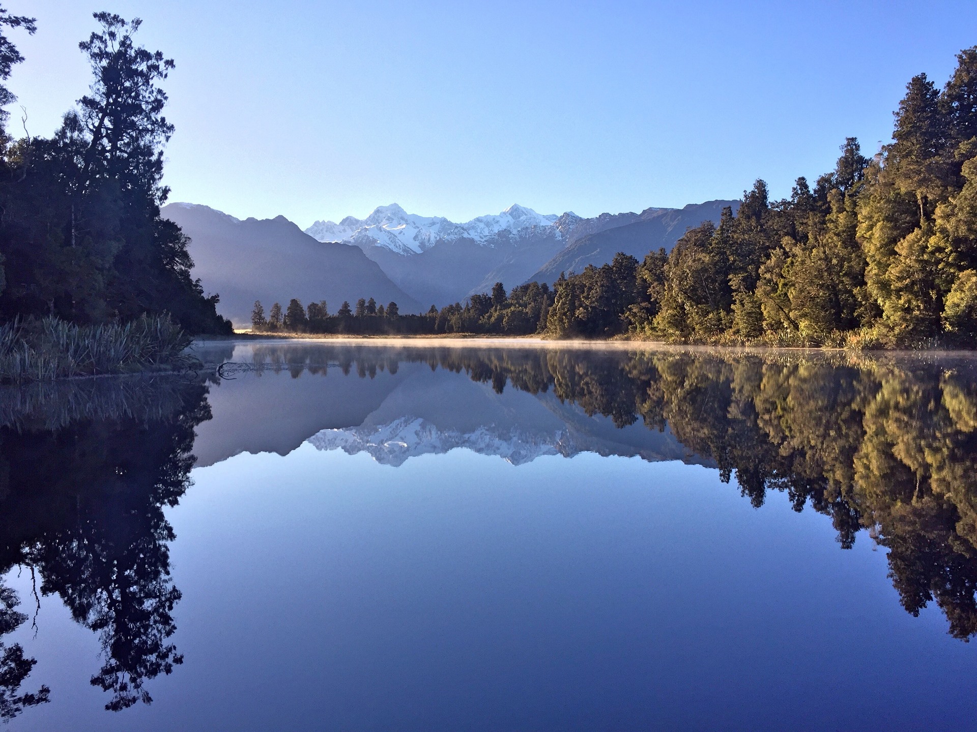 Fox Glacier | LAT.40