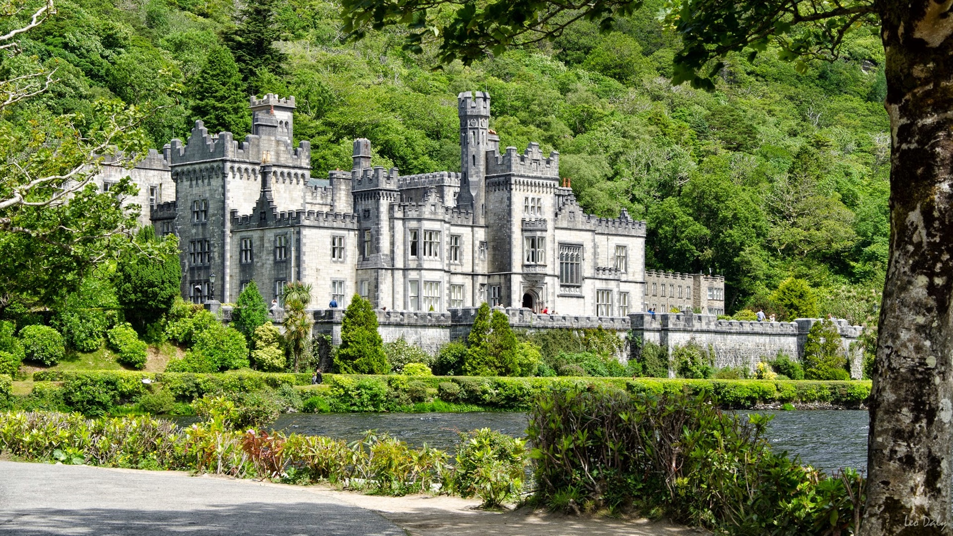 Imagen de viaje LAT.40