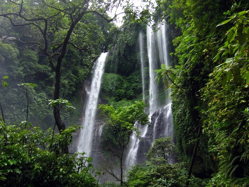 Git Git waterfall | LAT.40