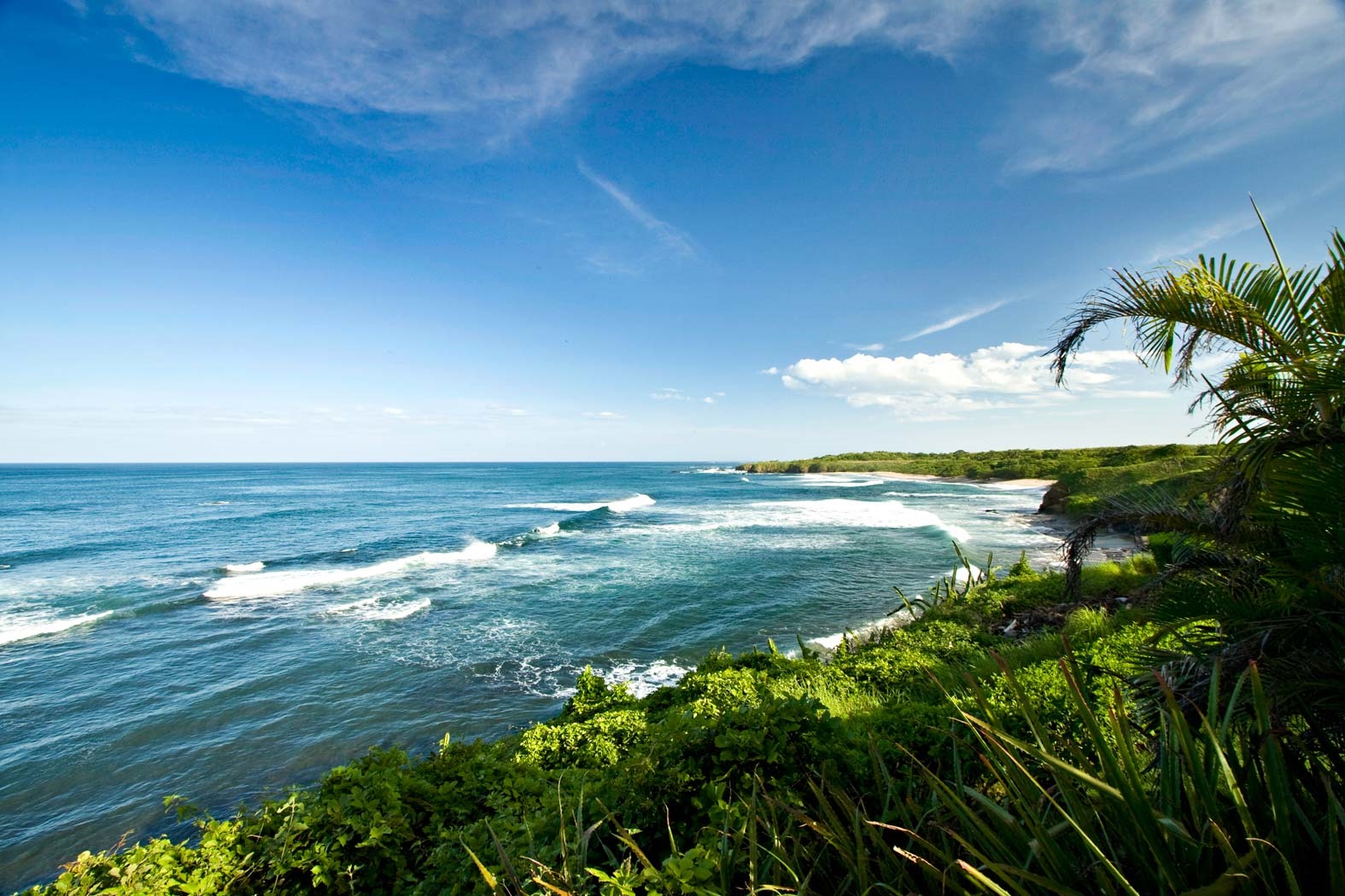 Guanacaste | LAT.40