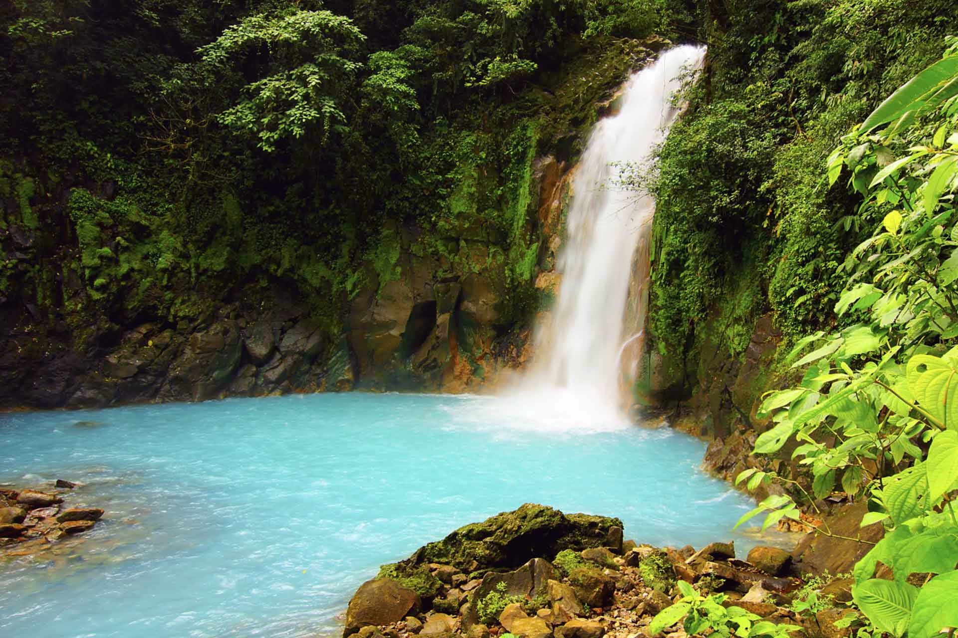 Guanacaste | LAT.40