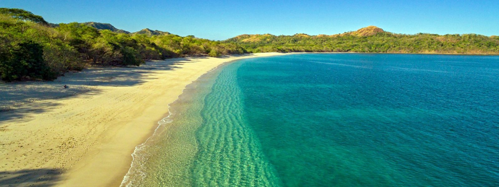Guanacaste | LAT.40
