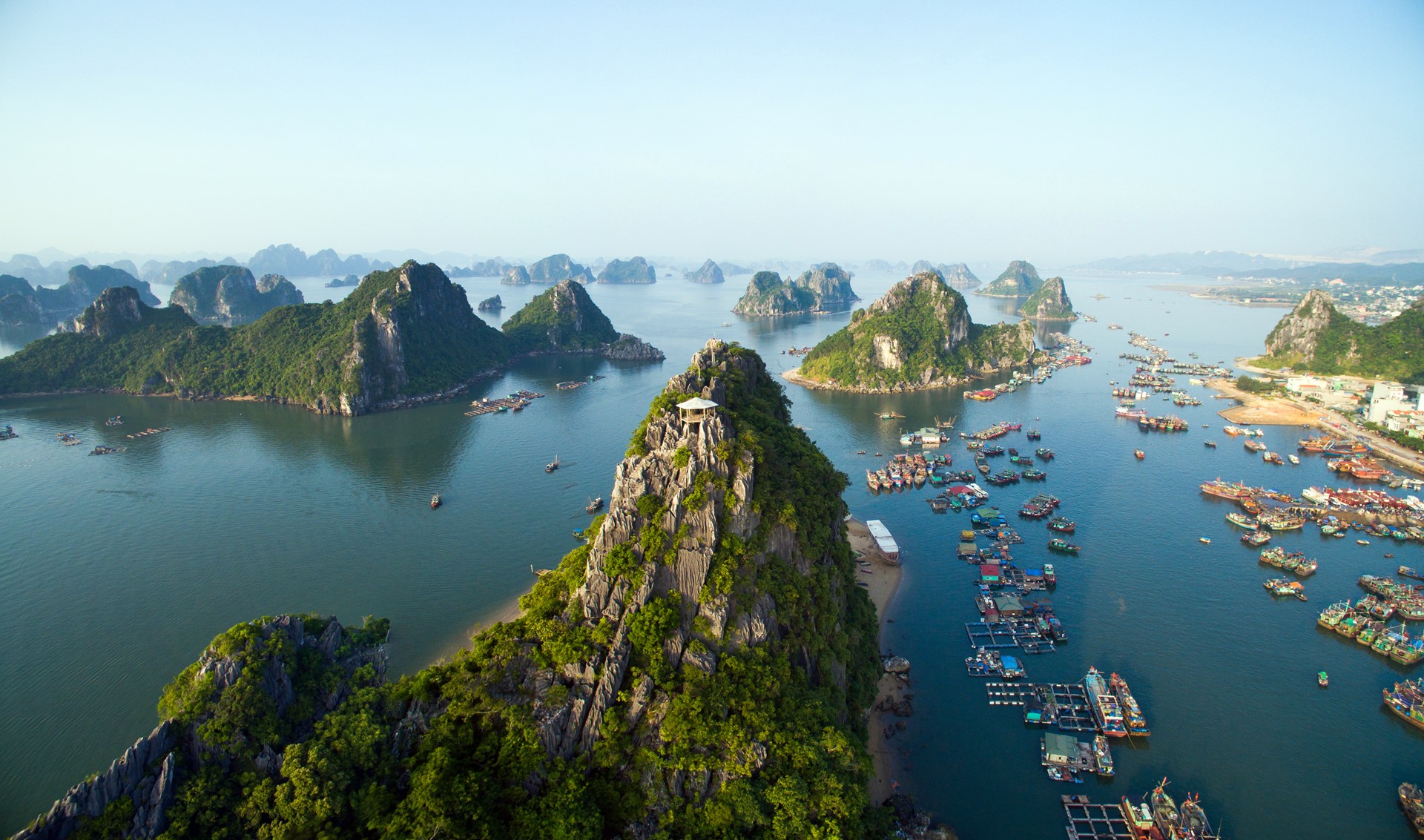 Halong | LAT.40