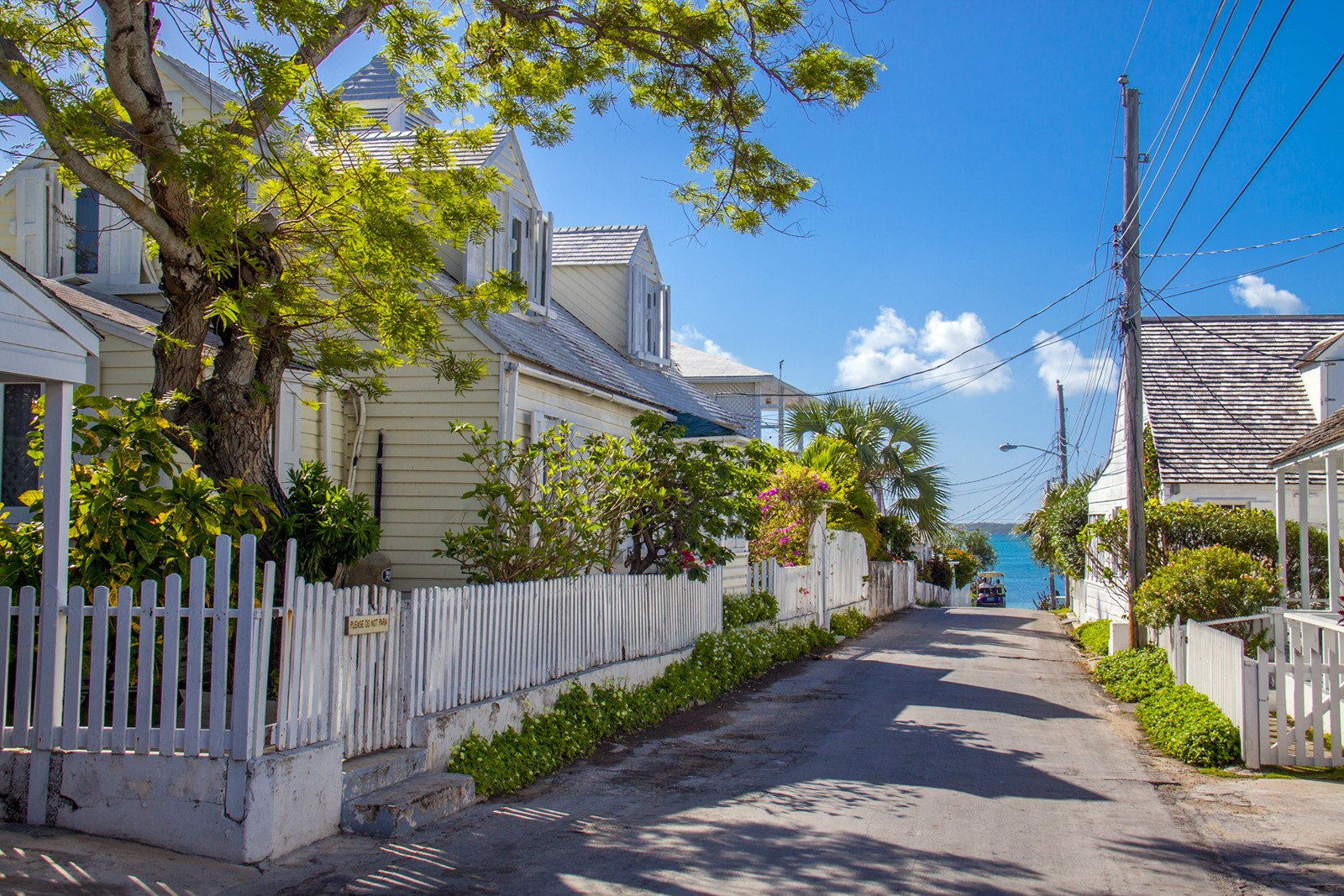 Harbour Island | LAT.40