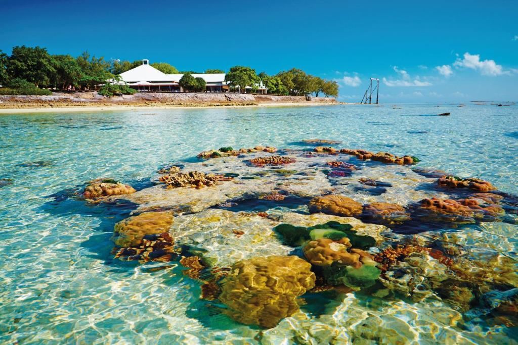 Gran Barrera de Coral