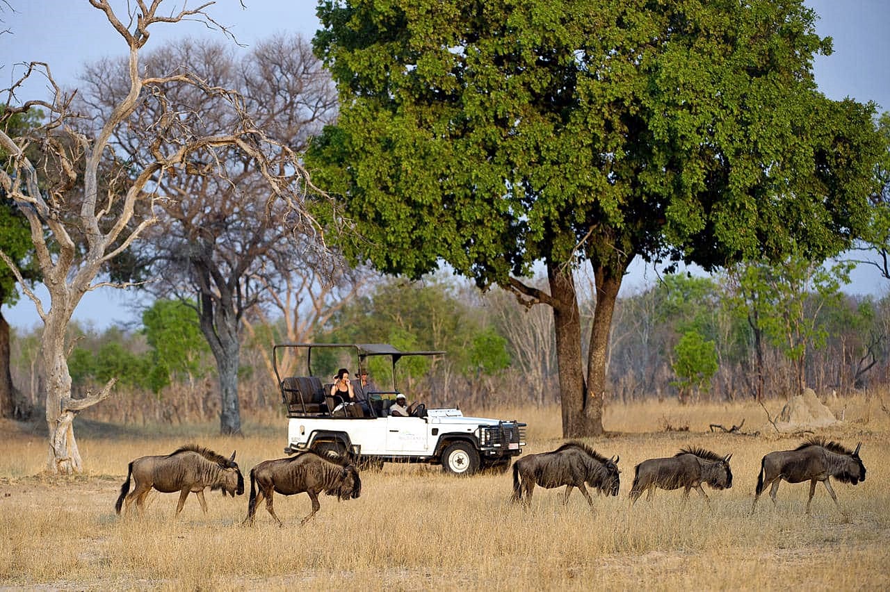 Linkwasha Camp en Hwange