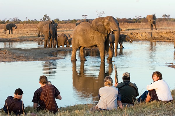 Hwange | LAT.40