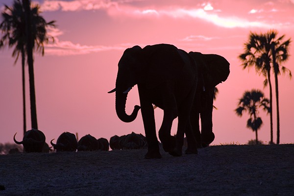 Hwange | LAT.40