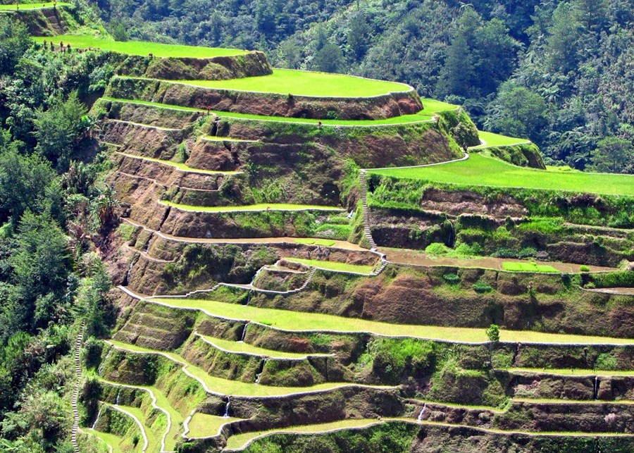 Ifugao | LAT.40