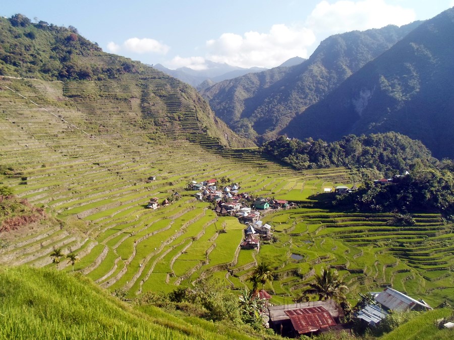 Ifugao | LAT.40