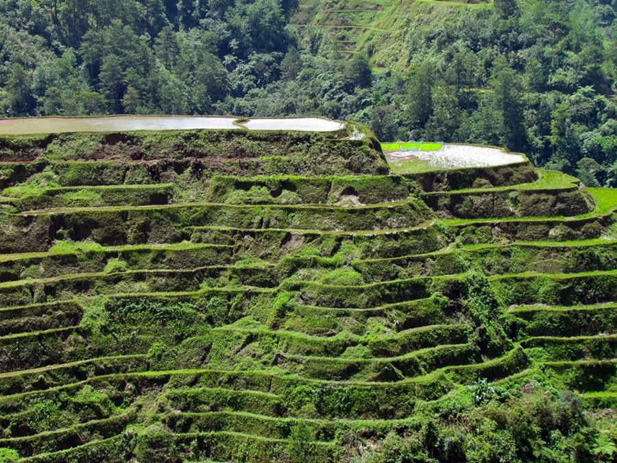 Ifugao | LAT.40