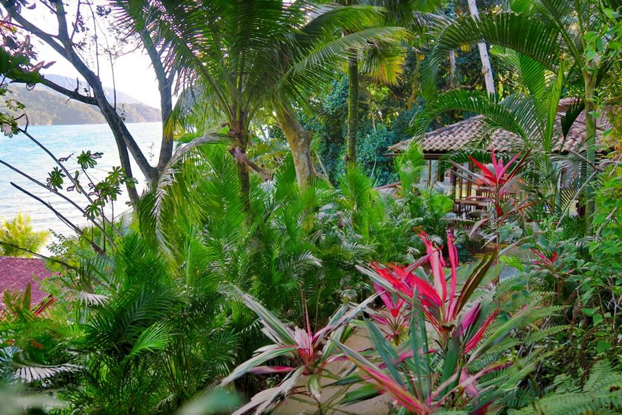 Atlantica Jungle Lodge en Isla grande