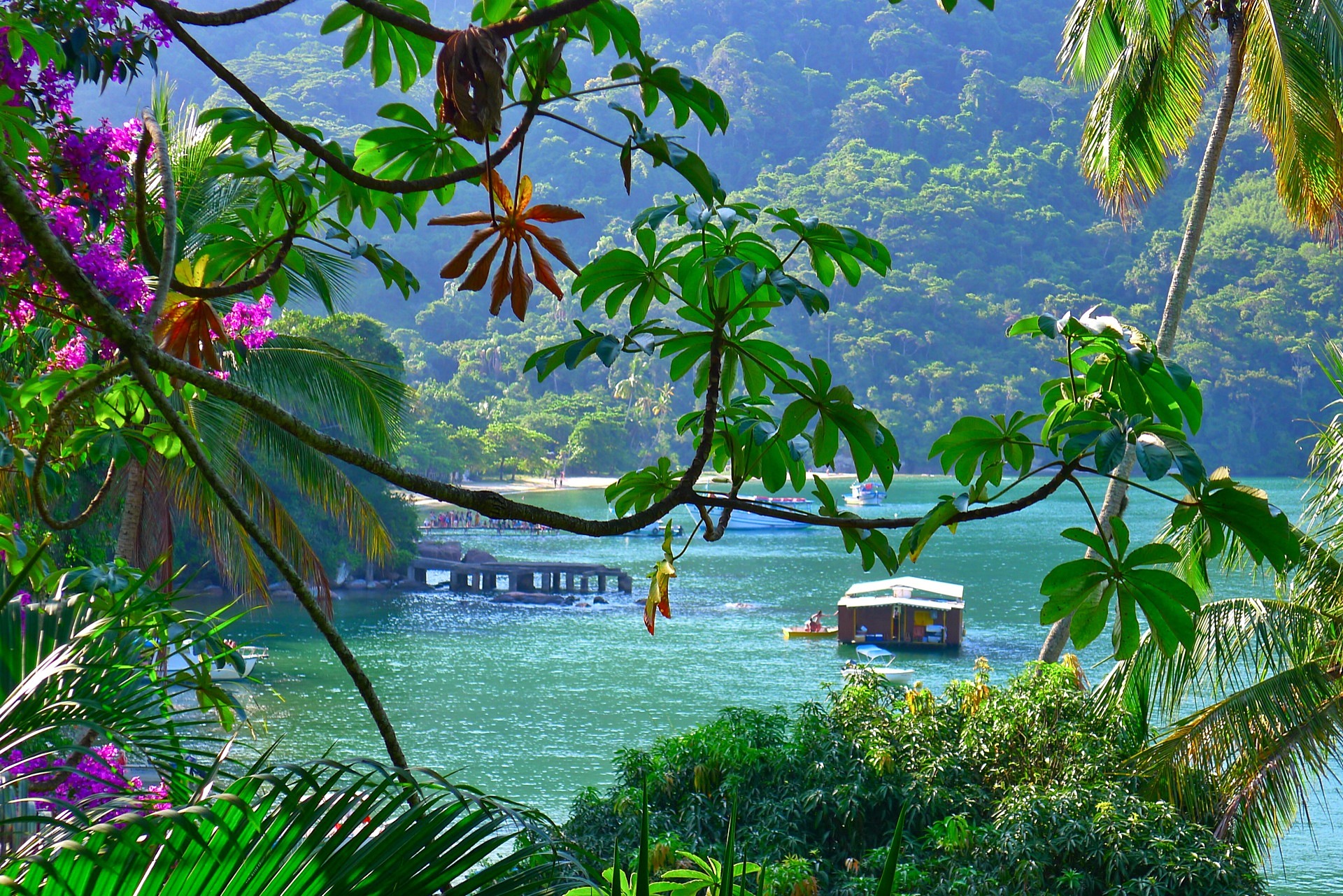 Ilha Grande