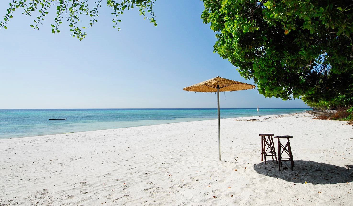 Isla de Pemba | LAT.40