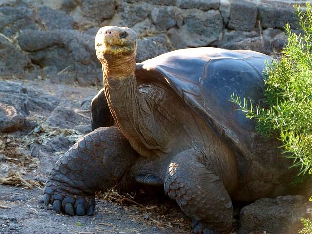 Islas Galapagos