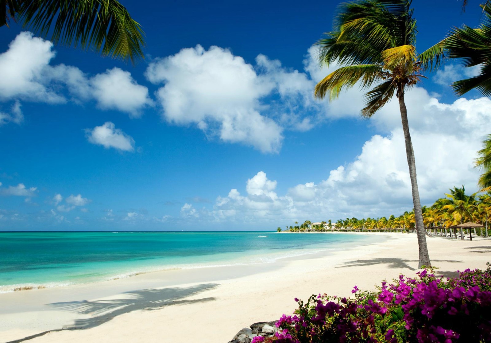 Jumby Bay Island Resort | LAT.40