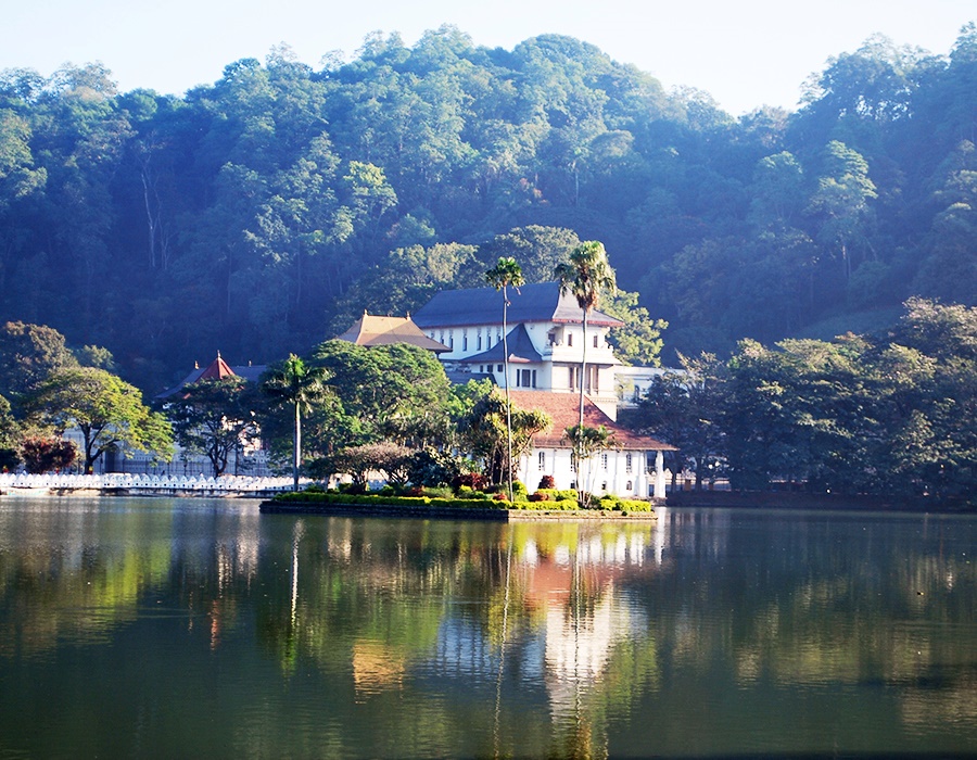 Kandy | LAT.40