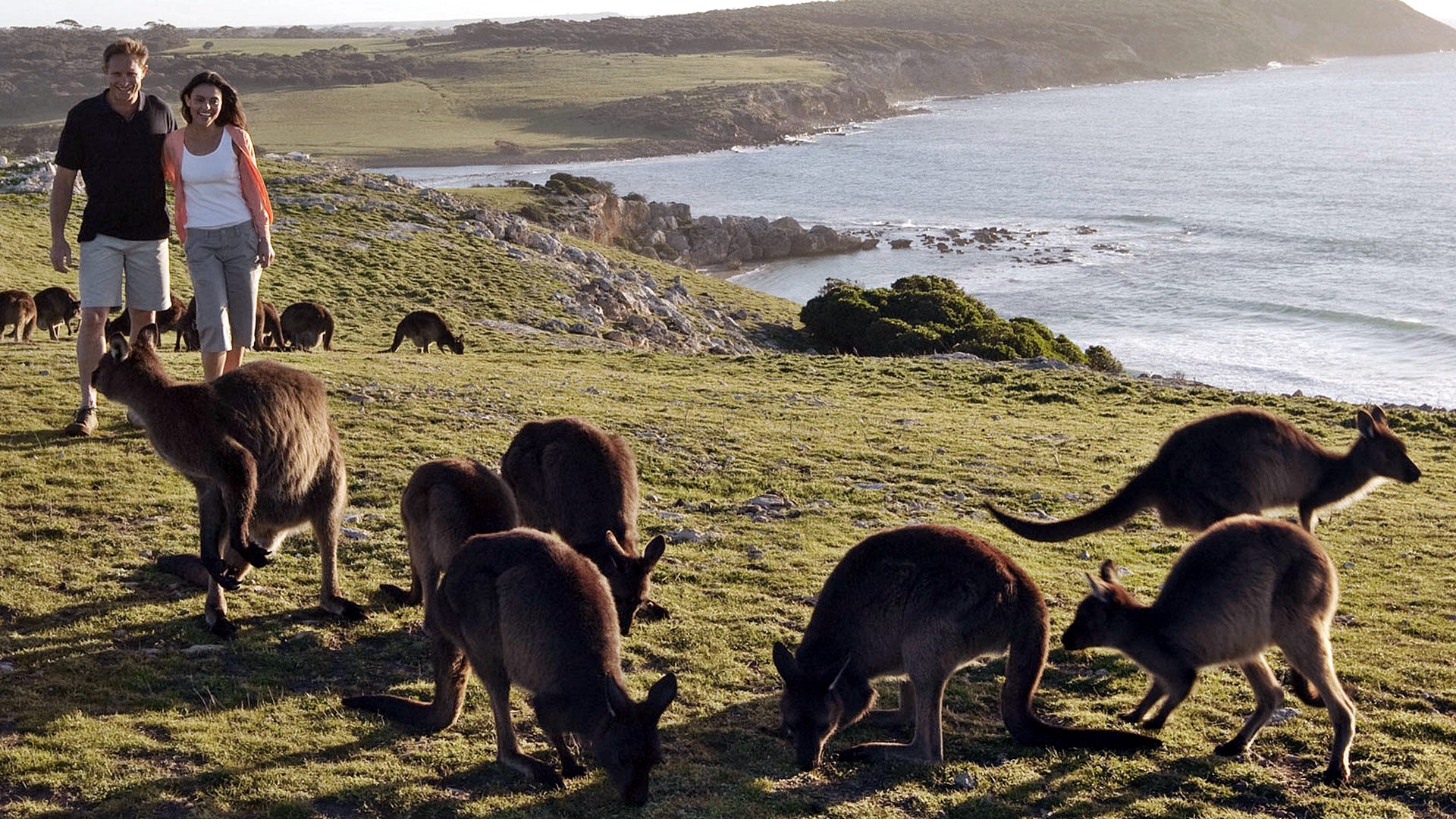 Kangaroo Island | LAT.40