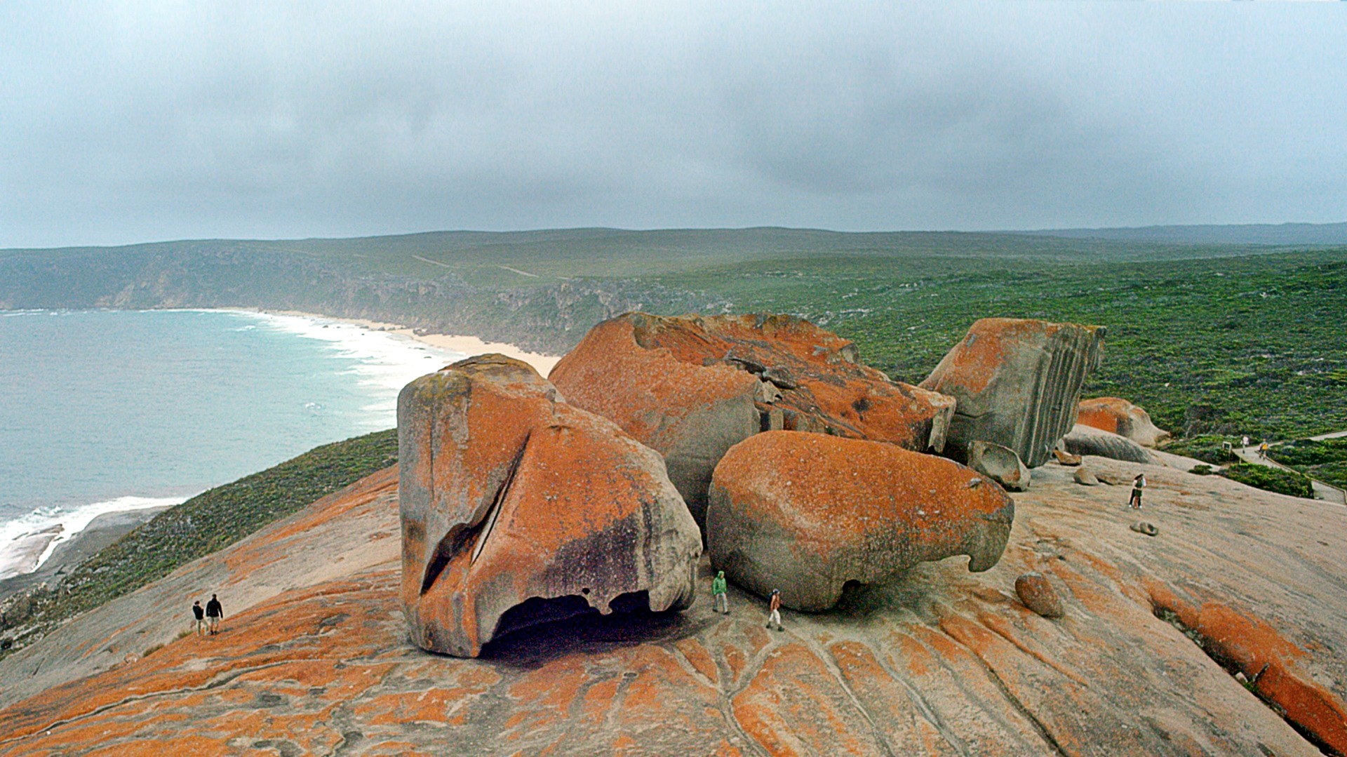 Kangaroo Island | LAT.40