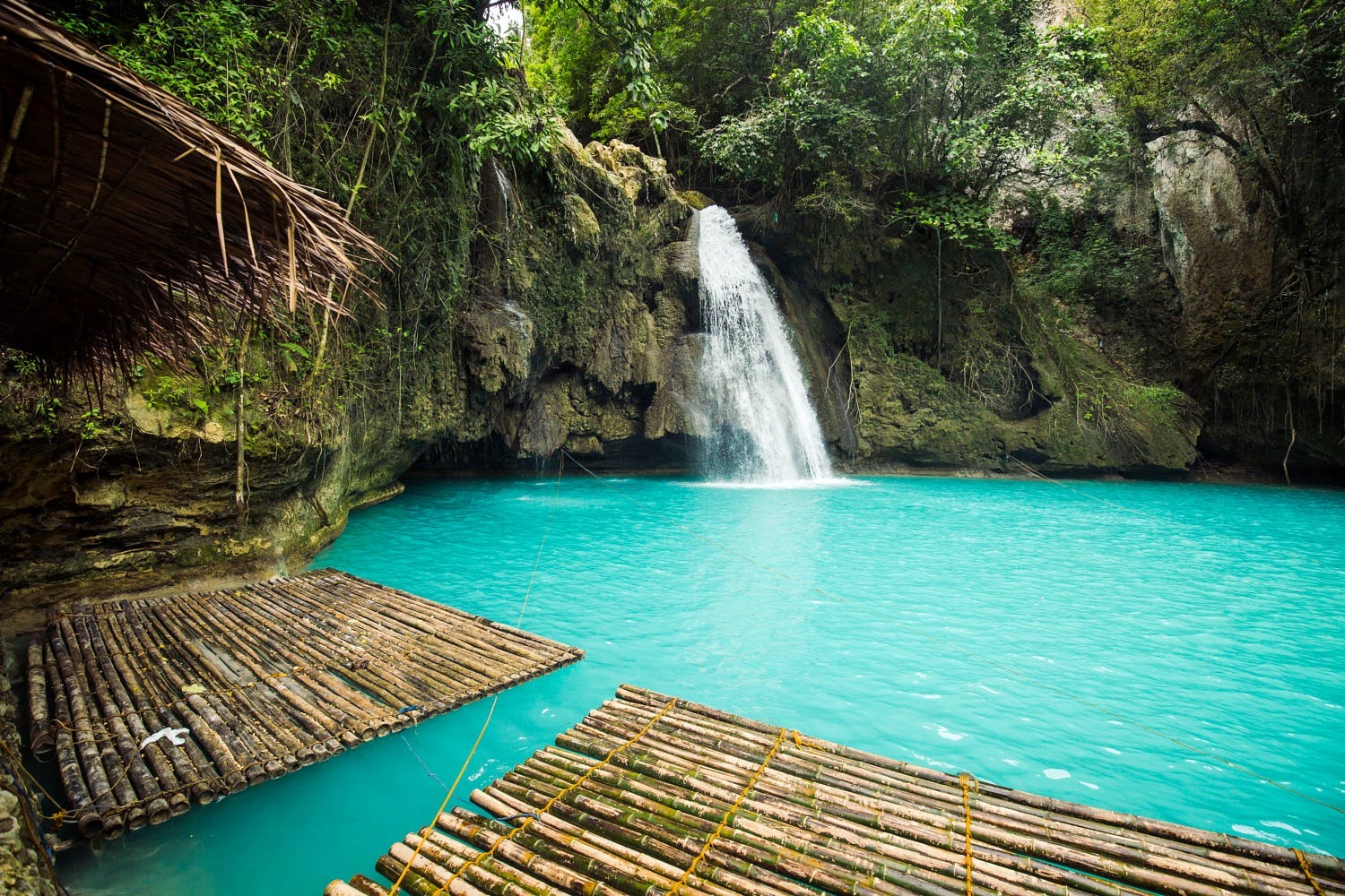 Kawasan Falls | LAT.40