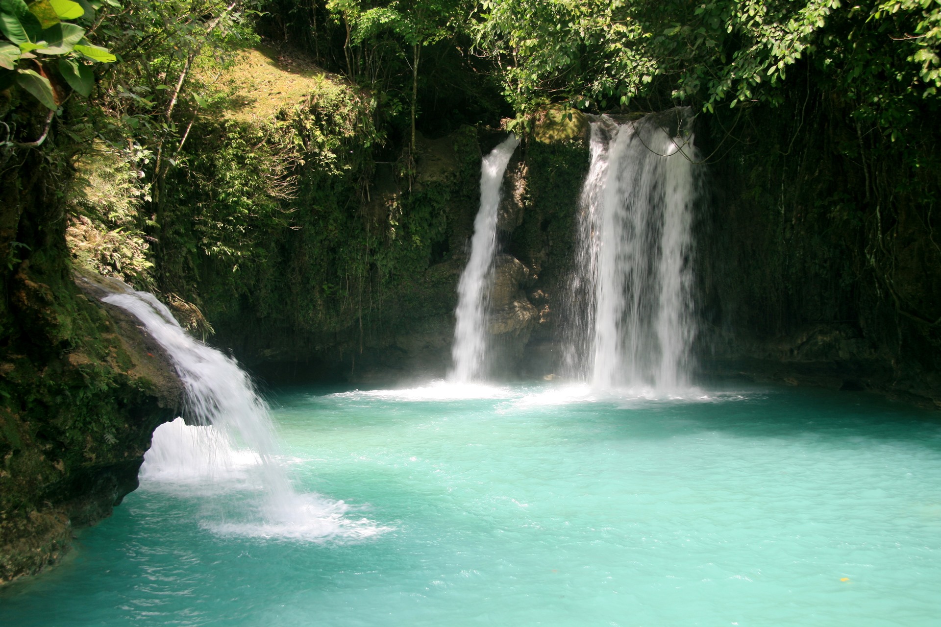 Kawasan Falls | LAT.40