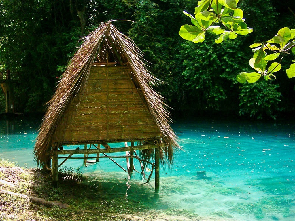 Kawasan Falls | LAT.40