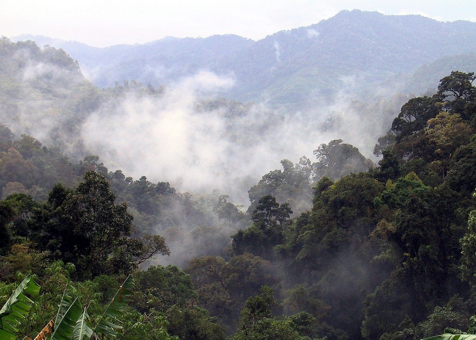 Imagen de viaje LAT.40