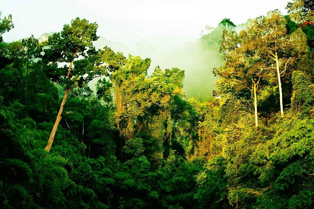 Imagen de viaje LAT.40
