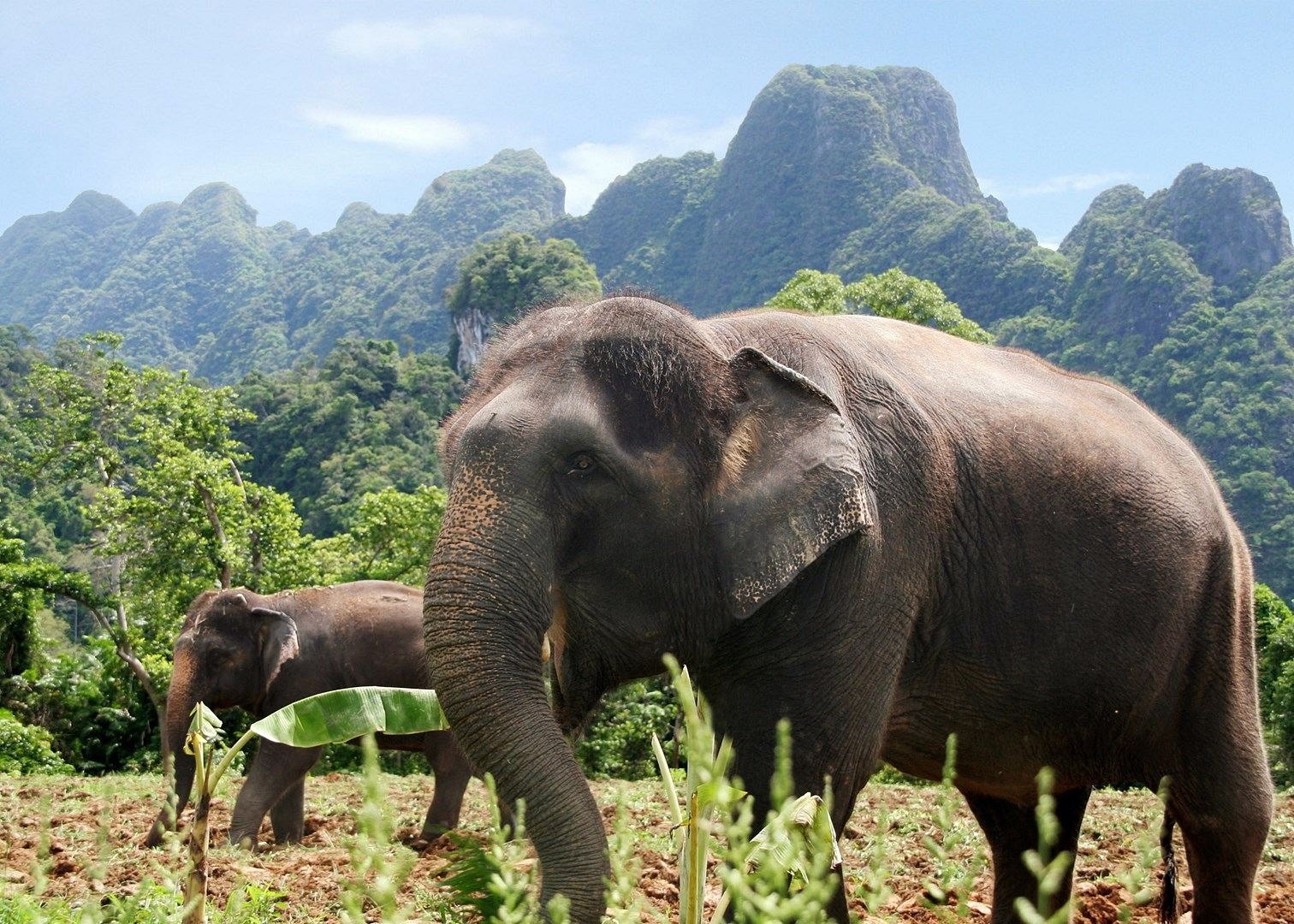 Khao Sok | LAT.40
