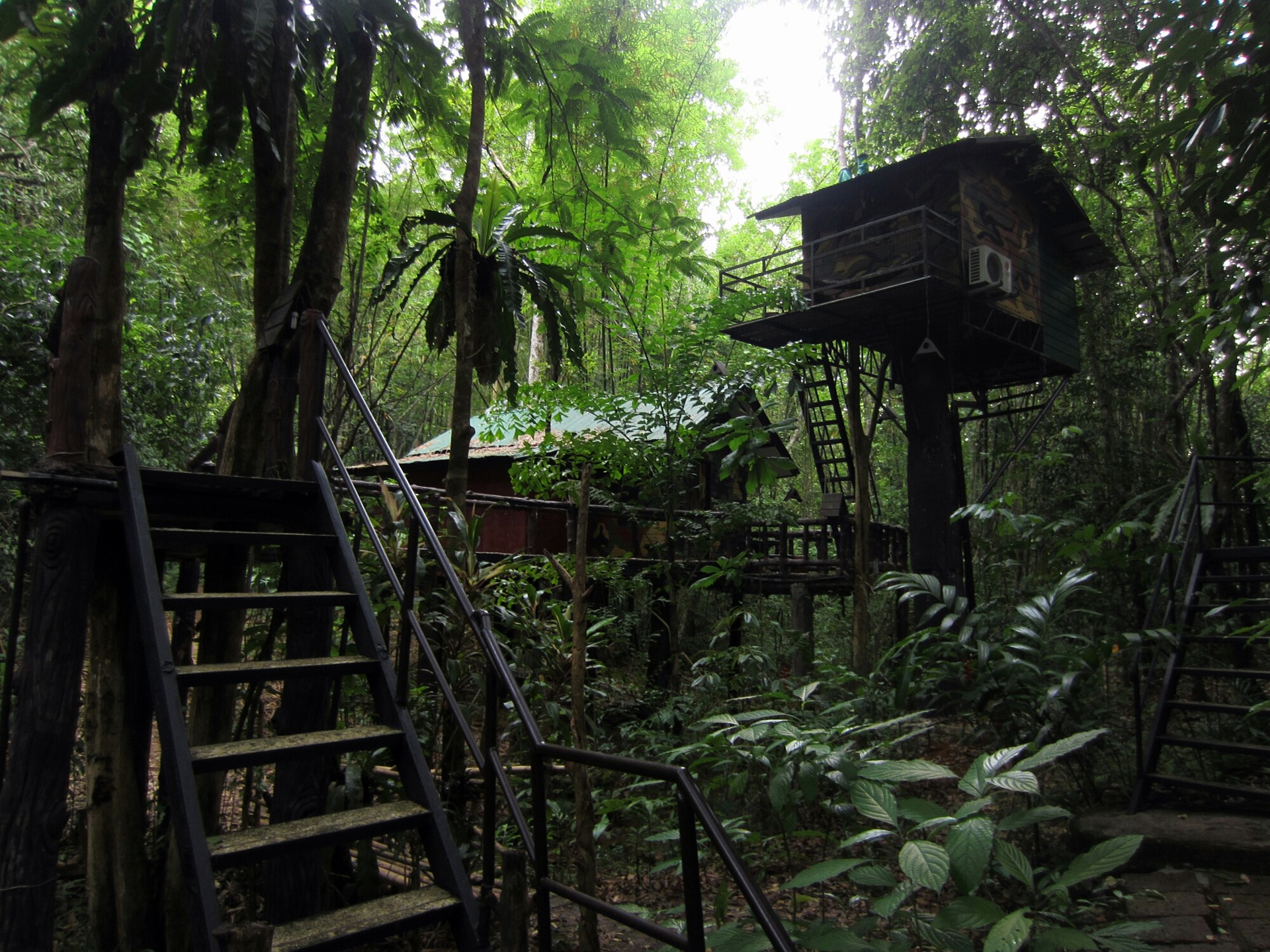 Khao Sok | LAT.40
