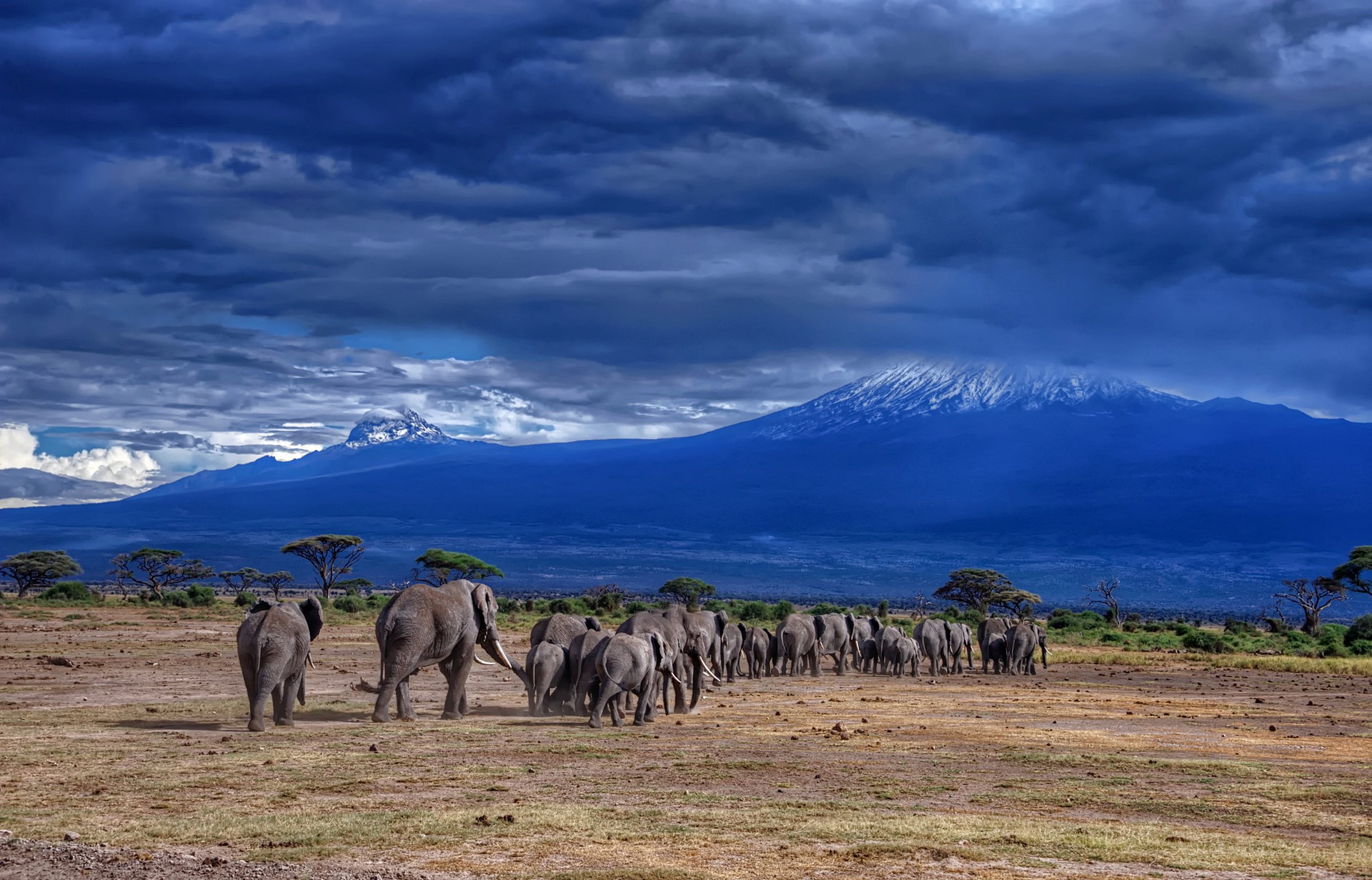 Kilimanjaro | LAT.40