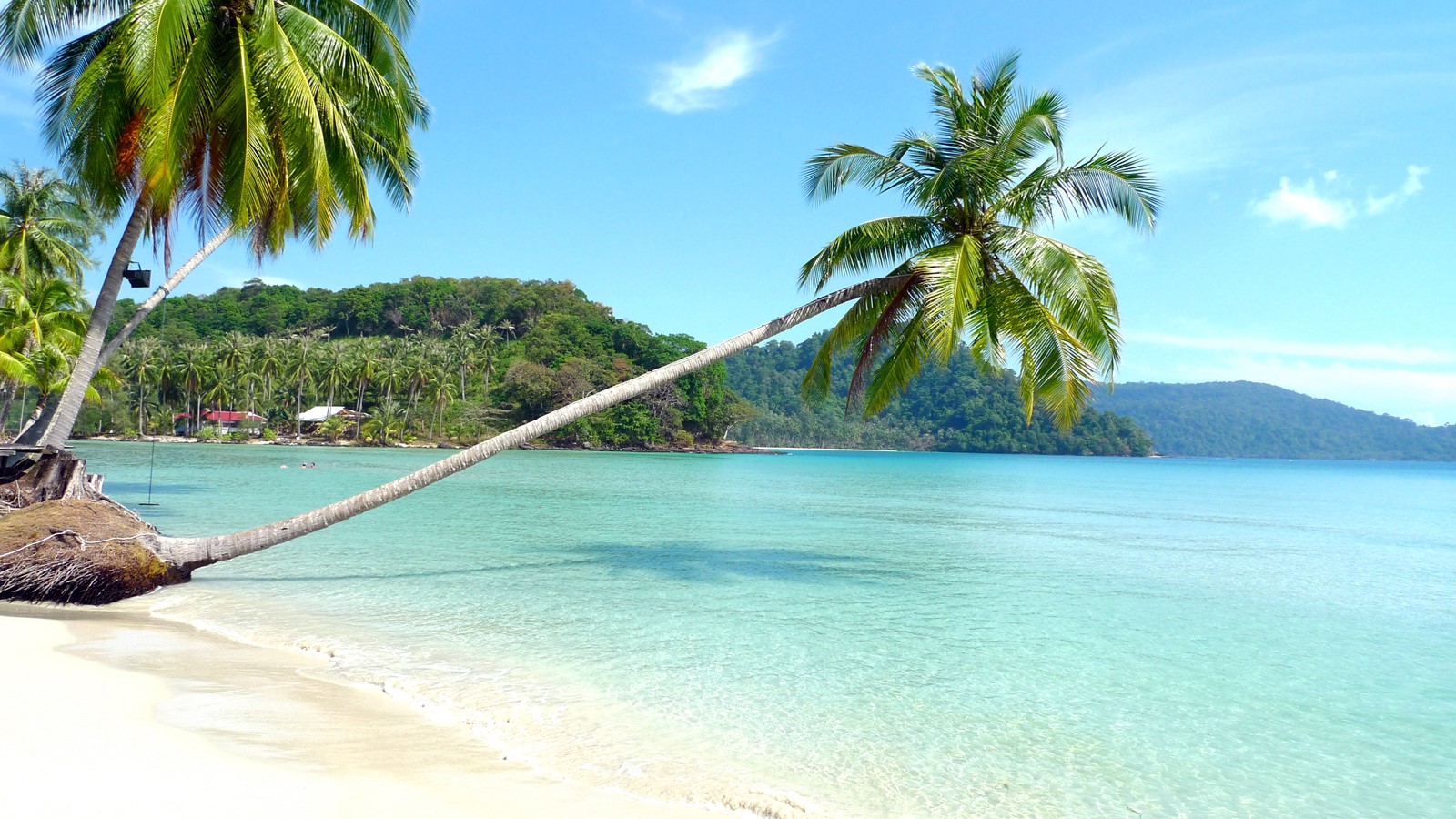 Koh Kood | LAT.40