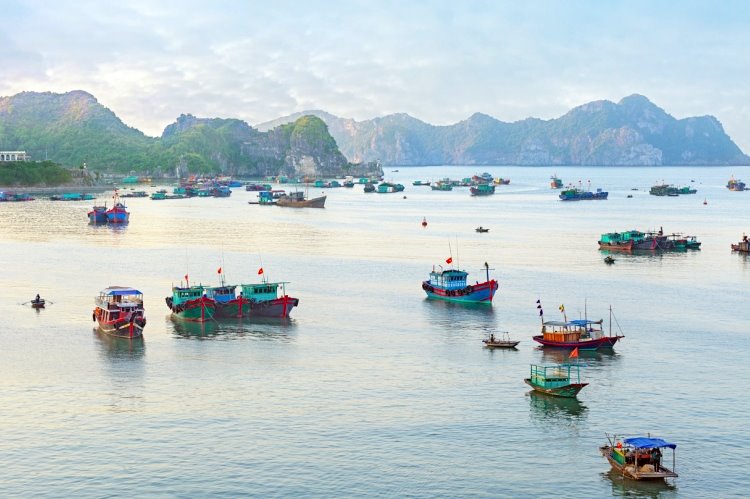 Koh Rong | LAT.40