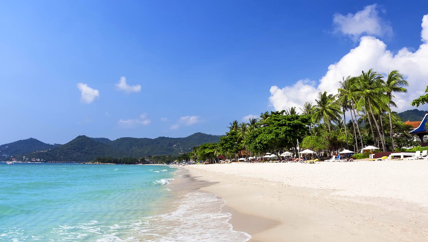 Koh Samui | LAT.40