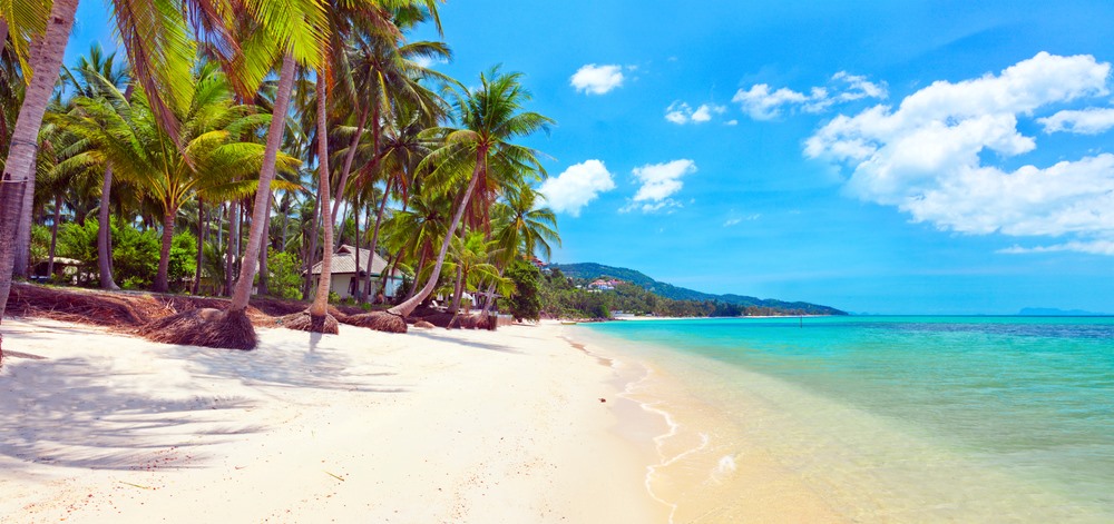 Koh Samui | LAT.40