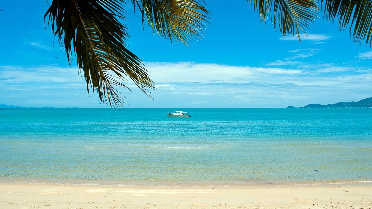 Koh Samui | LAT.40