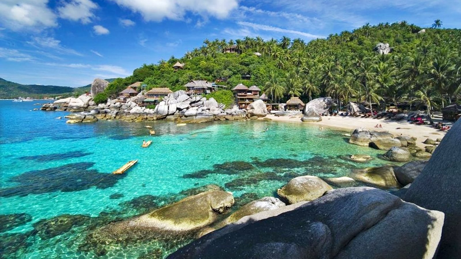 Koh Tao | LAT.40