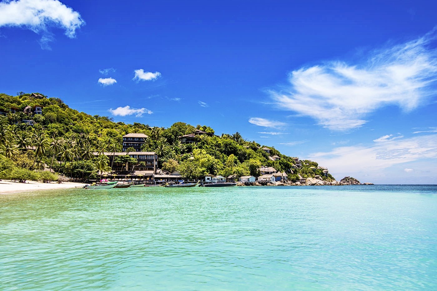 Koh Tao | LAT.40
