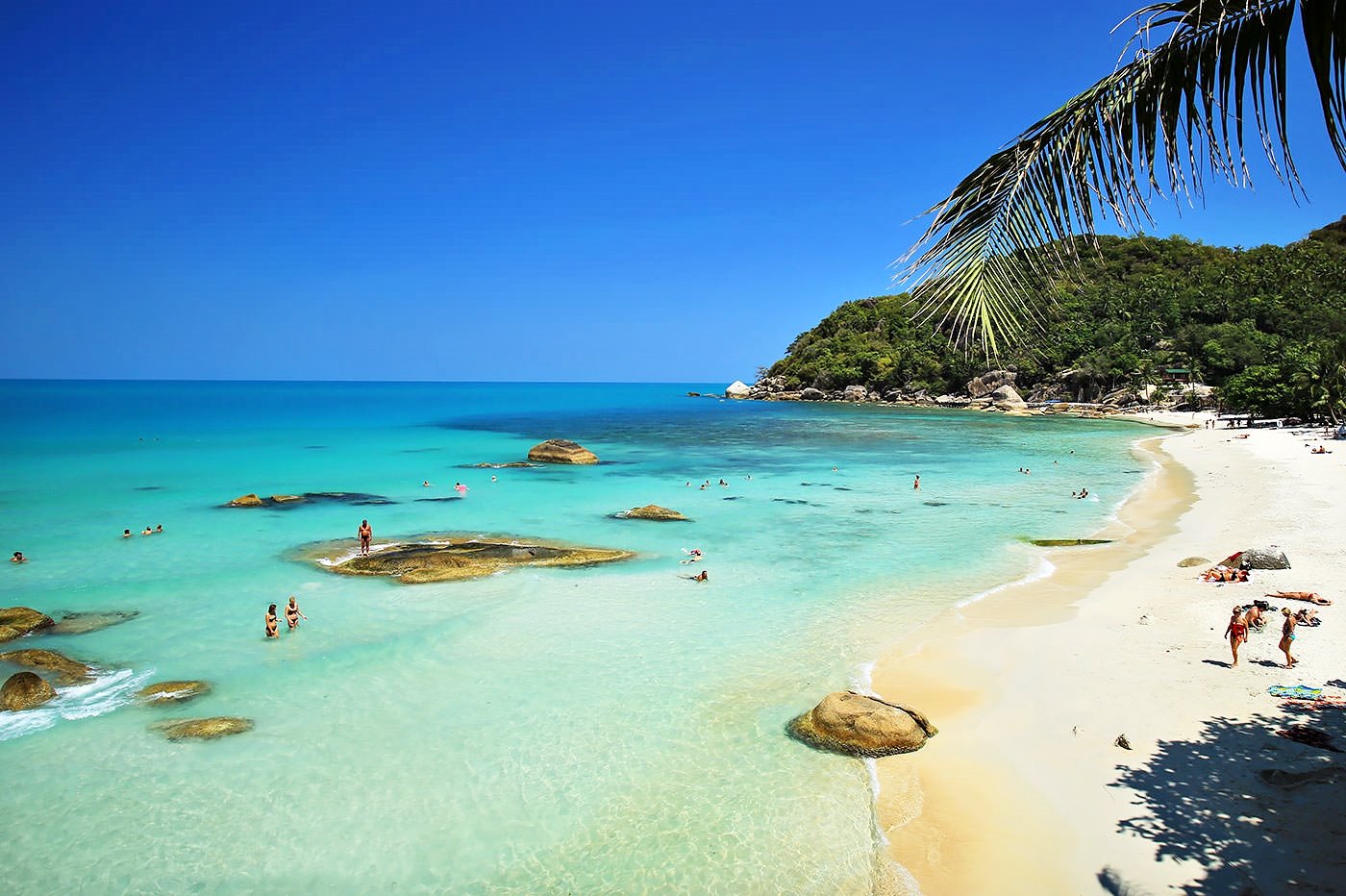 Koh Tao | LAT.40
