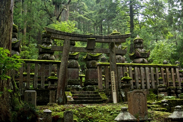 Koya | LAT.40