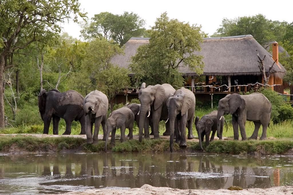 Simbambili Game Lodge en Kruger National Park