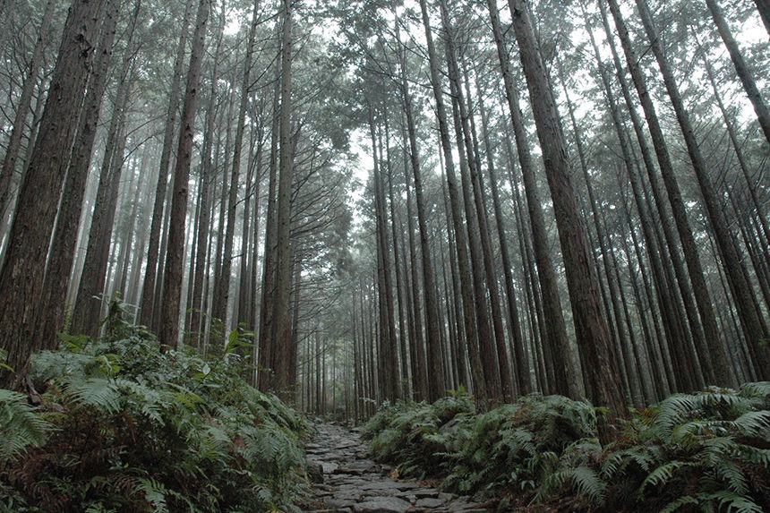 Kumano | LAT.40