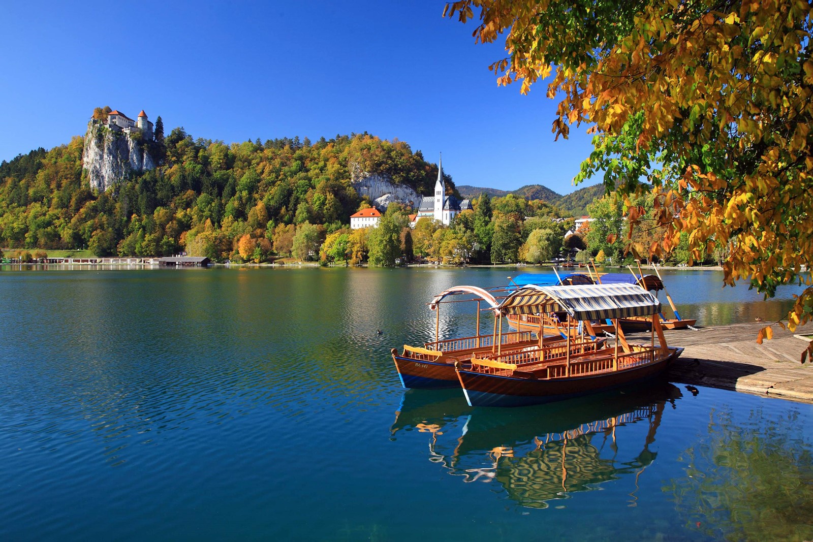 Lago Bled | LAT.40