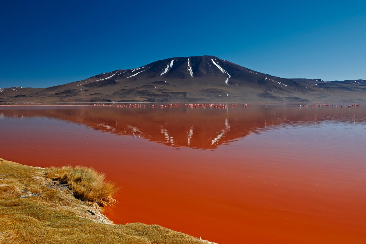 Lago Natron | LAT.40