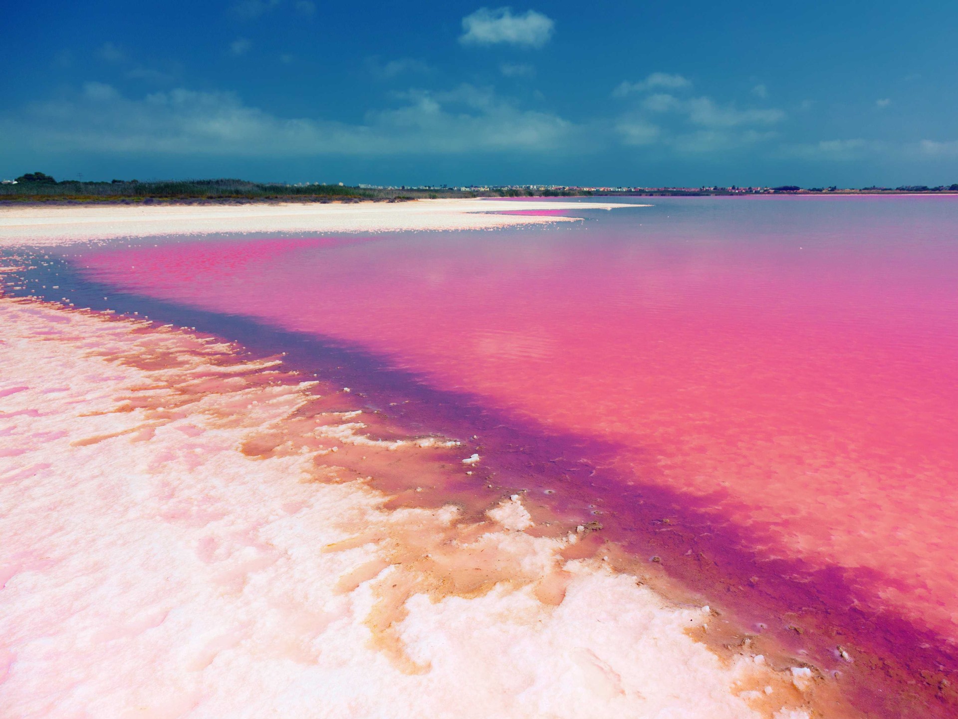 Lago Natron | LAT.40