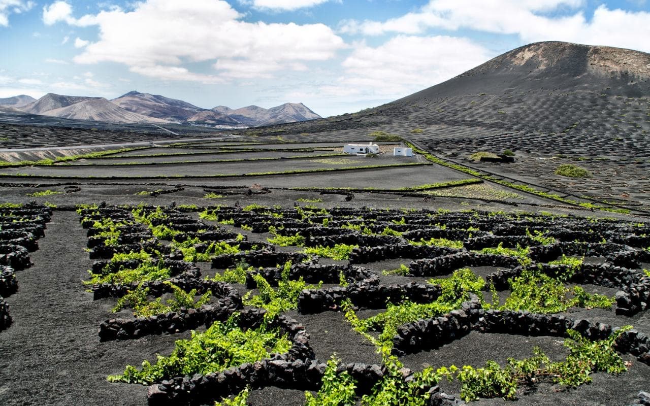 Lanzarote | LAT.40