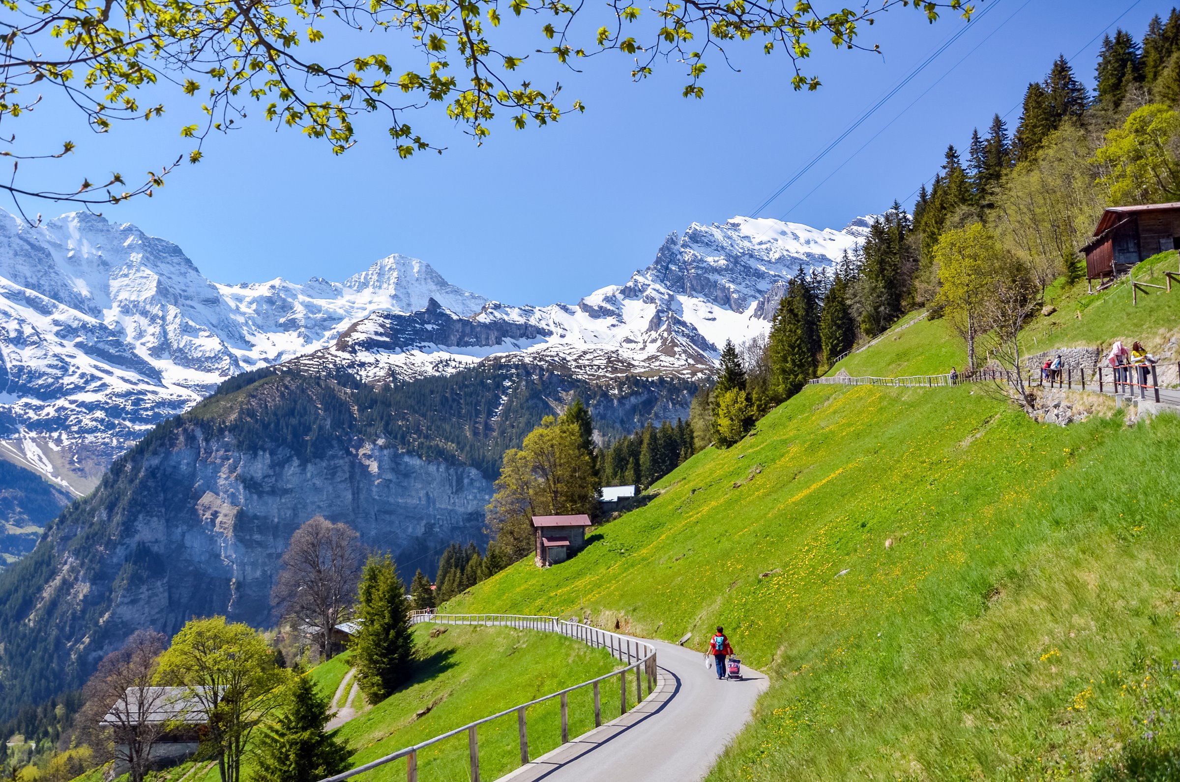 Lauterbrunnen | LAT.40