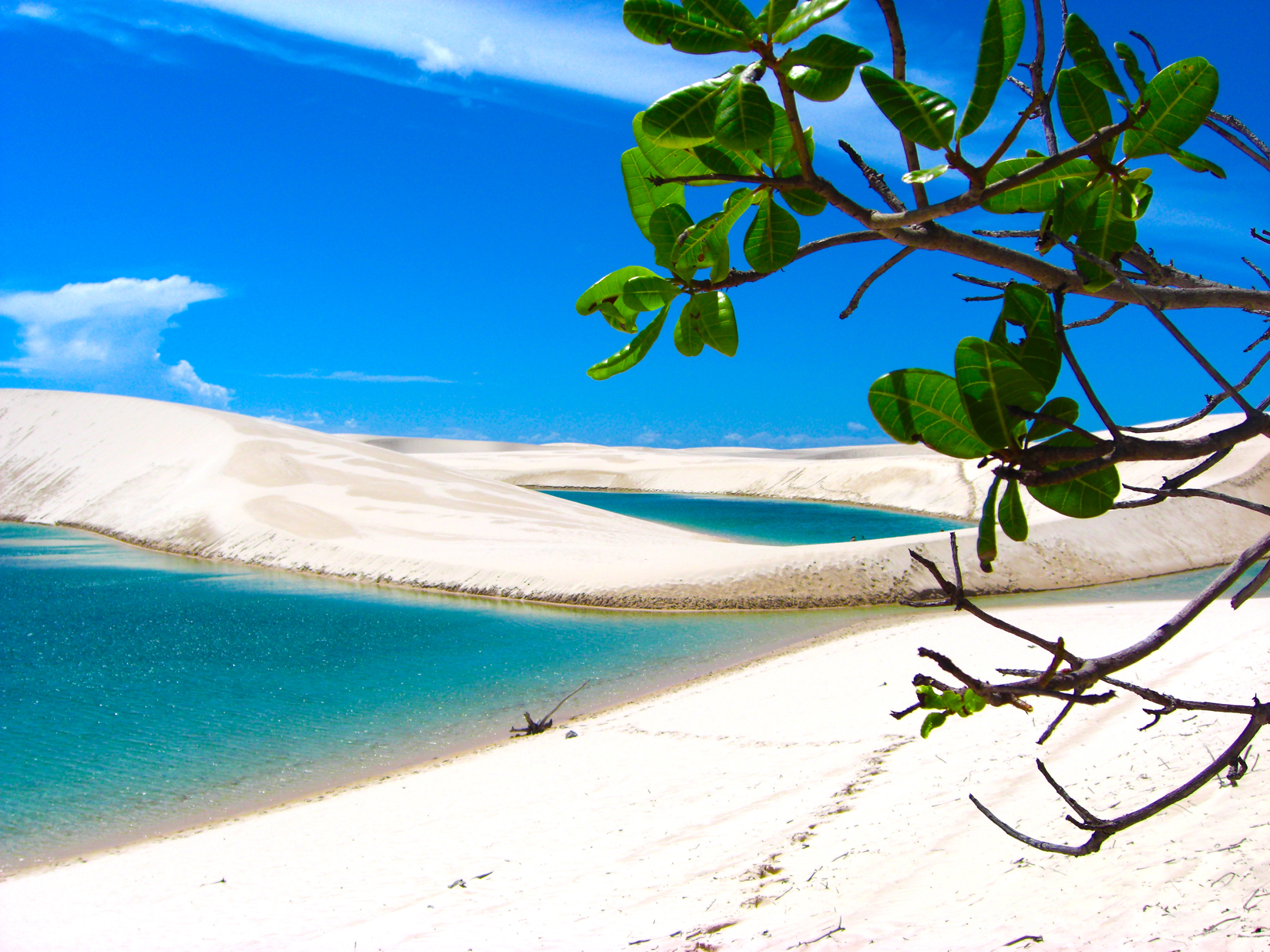 Lencois Maranhenses | LAT.40