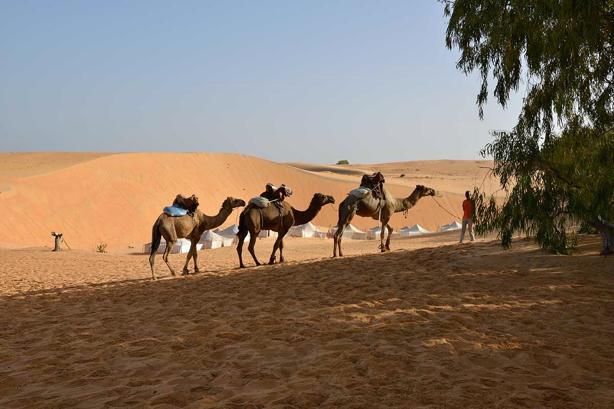 Lompoul Desert | LAT.40