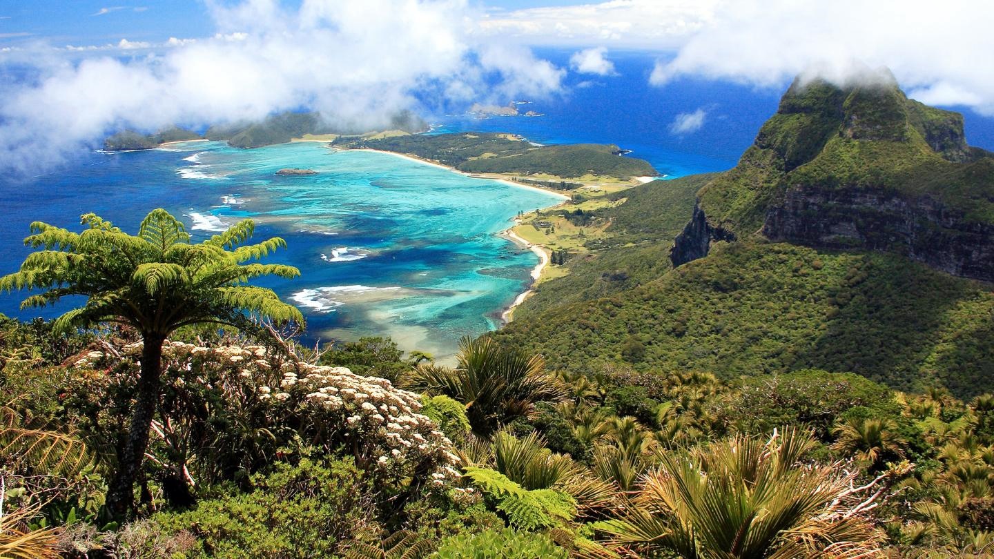 Lord Howe | LAT.40